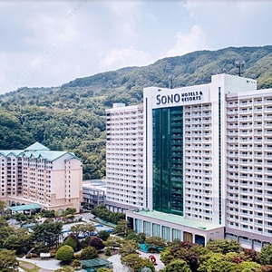 (7월 12일) 비발디파크 소노펠리체 / 소노빌리지 / 소노펫 / 소노벨 오션월드 패키지!!