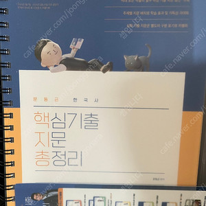 2025 문동균 핵지총 팝니다