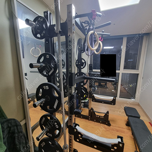 [개별 판매] 와일든1004m, 누오덤벨32kg(신형 2kg조절), 동아 샤크 벤치, 로버스트 원판, 시나브로 탄력봉, 씨앤케이 이지바