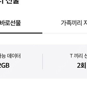 SK데이터 2기가