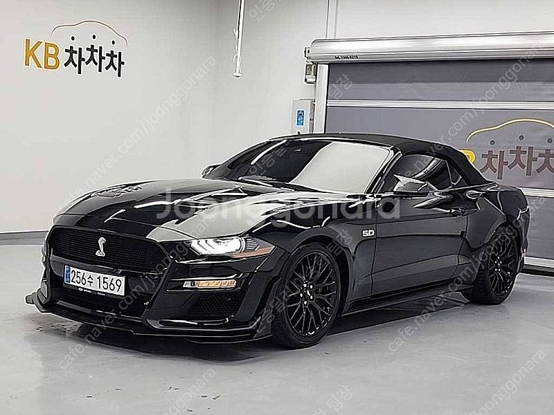 43,594 km 포드 머스탱 중고 포드 중고차 GT ...--6