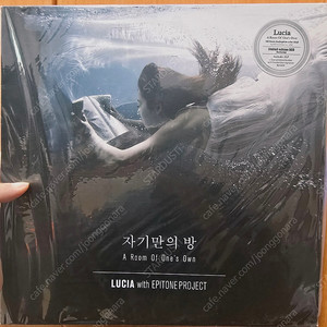 LP 몇장 판매합니다. (심규선, 아이유)