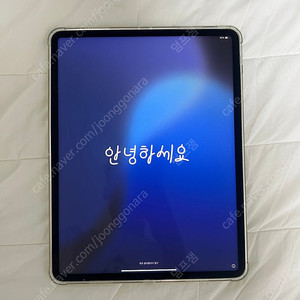 아이패드 프로 12.9 6세대 128gb wifi