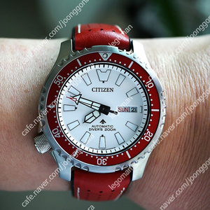 CITIZEN FUGU (NY0097-87A) 한정판