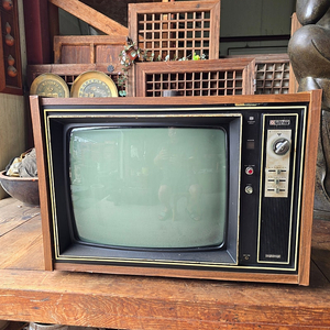 금성TV VT-84IC 이미지