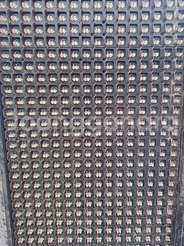 LED 광고판 팝니다. 380*3600--1