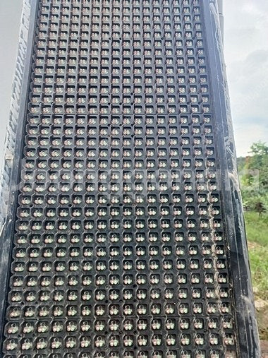 LED 광고판 팝니다. 380*3600--5