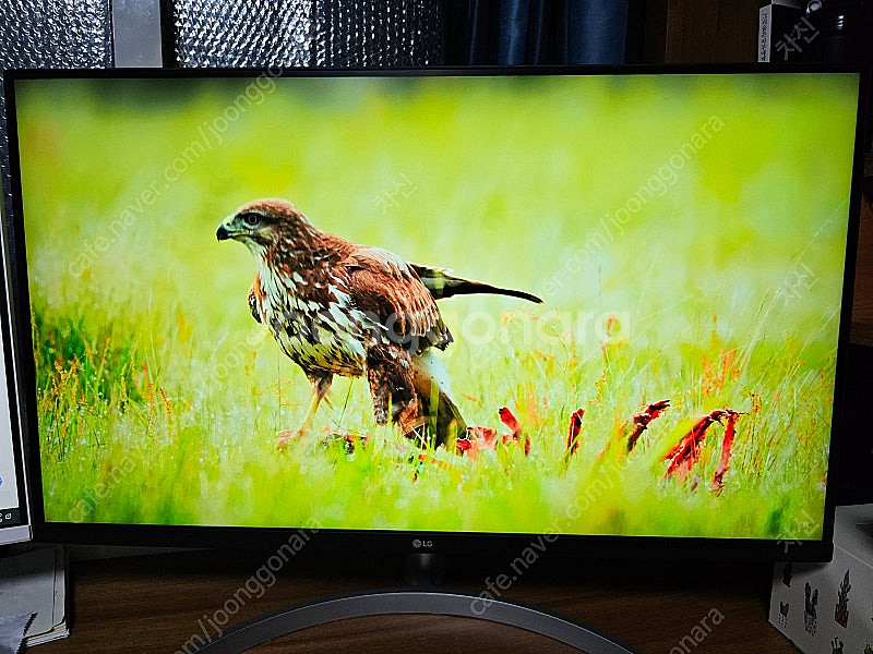LG 32UN650 4K 거래지역 분당 이매동 23만--0