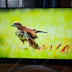 LG 32UN650 4K 거래지역 분당 이매동 23만