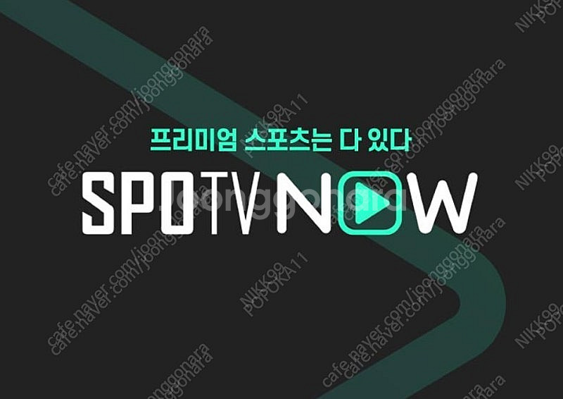 스포티비 나우 1경기 프리미엄 최고화질(1080P) 대...--0