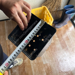 검정색 플라스틱 화분 분갈이 묘목용 ! 높이 17 상단 13.5 하단 10.5 정사각형 화분 팝니다