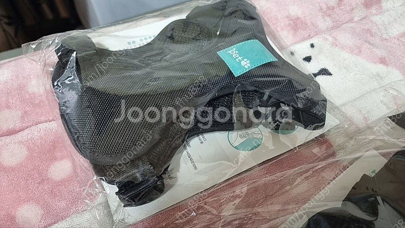 [땡처리 초특가] 애견카시트 강아지이동장 고양이이동장 ...--1