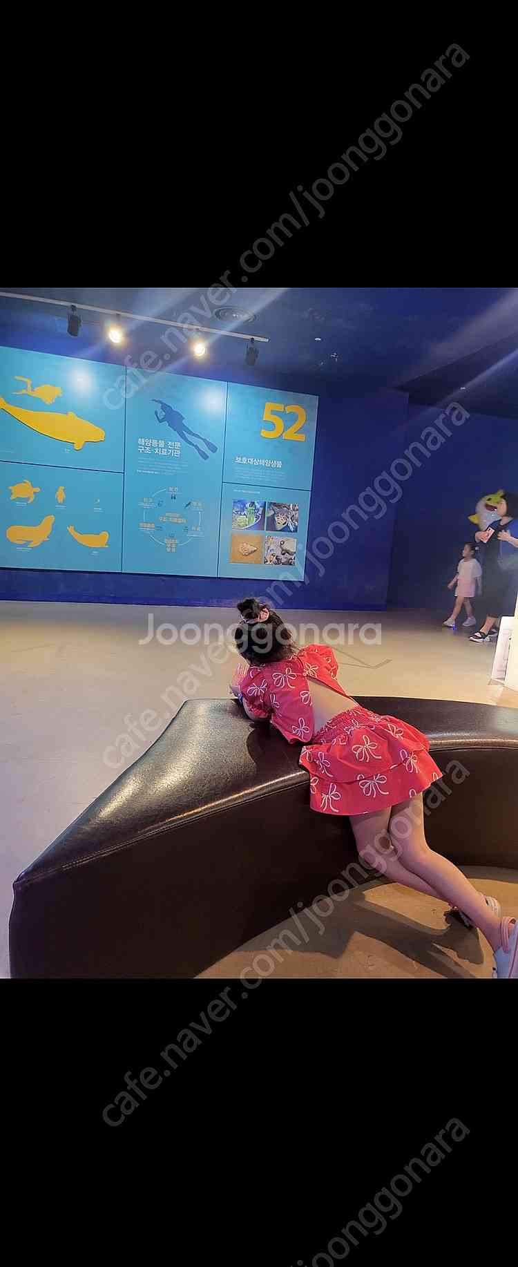 주주아뜰리에 셋업 M--2
