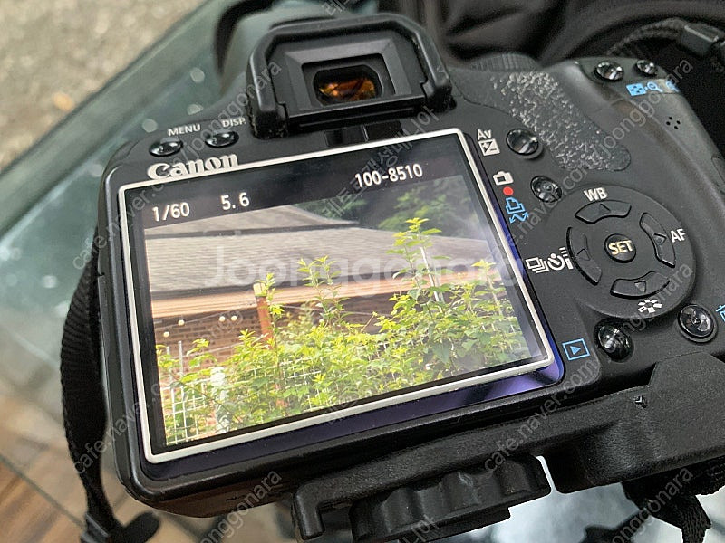 캐논 500D ef-s 18-200mm--8