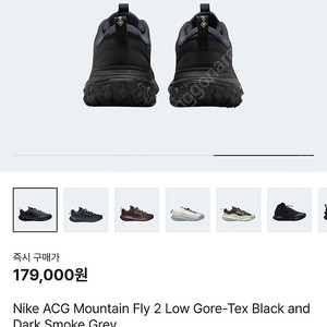 나이키 acg a마운틴플라이 2 고어텍스