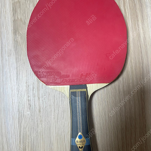 장지커ALC 탁구라켓