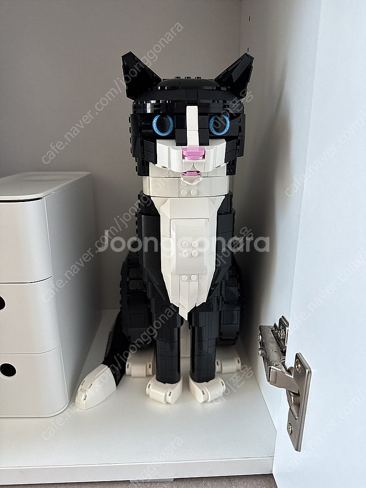 (직거래)레고 21349 턱시도 고양이 판매합니다.--0