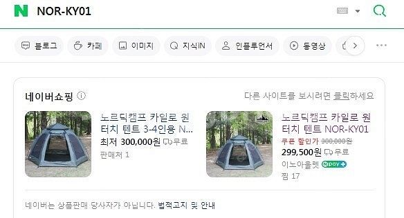 성인4명도 넉넉한 원터치텐트 카일로 캠프 10만 급처합...--3
