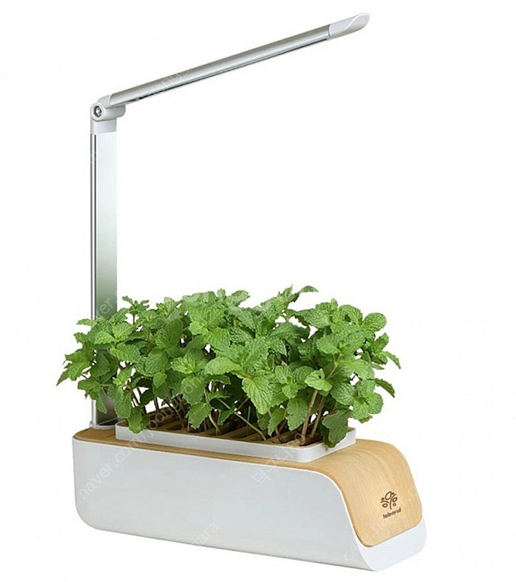 스마트 식물 재배기 새상품--0