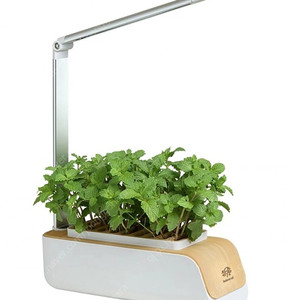 스마트 식물 재배기 새상품