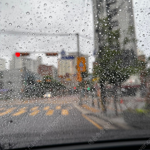 염월 염프 좌핸 구합니다 151pg
