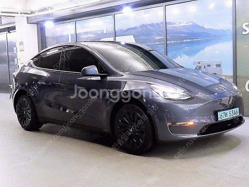 56,137 km 테슬라 모델Y 중고 테슬라 중고 롱 ...--0