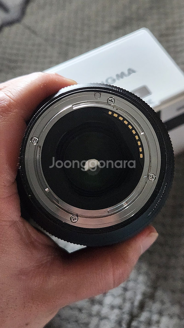 시그마 85mm f1.4 dgdn 판매합니다--1