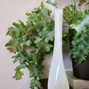 오팔린 빈티지 화병