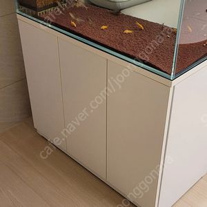 3자광폭 수조 풀세트 (생물포함)