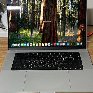 맥북프로 16인치 M1 Max 실버 32GB 1TB 프로그램 설치 가능