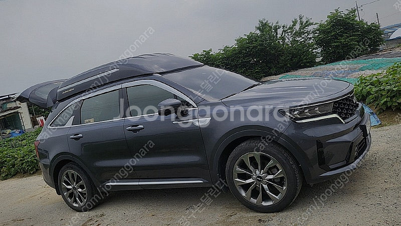 쏘렌토2.2 2WD 노블레스 3인승 하이리무진 캠핑카--3