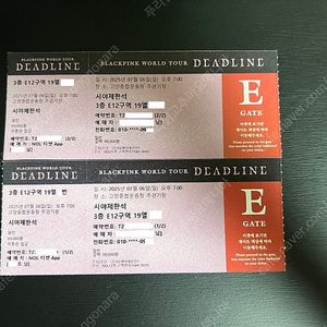 블랙핑크 콘서트 7/6 막콘 E12구역 2연석 시제석