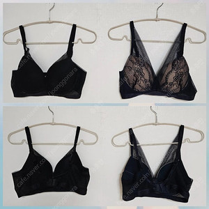 DKNY 브라2종.새거 80A