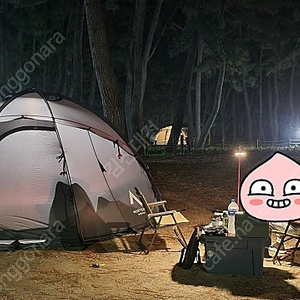 노르텐트 걈6