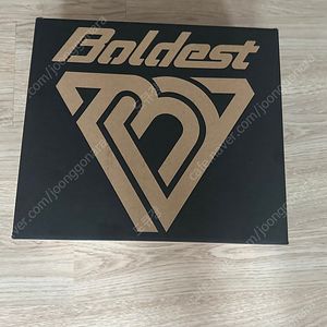 볼디스트 E.G 651 255사이즈