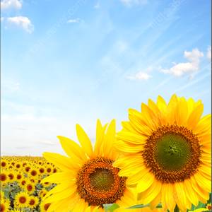 써브웨이 1만원권/파리바게트 35000원권, 34500원권, 33000원권, 30500원권/메가커피 아이스 아메리카노/투썸플레이스 38000원권/메가박스 예매권/구글기프트카드 10