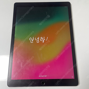 아이패드 프로 2세대 12.9 256기가 팝니다