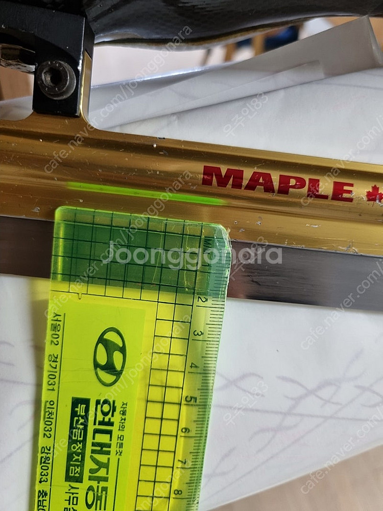 MAPLE+ 위너 스피드 스케이트--1