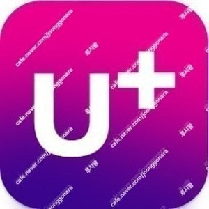 유플러스 데이터 2GB