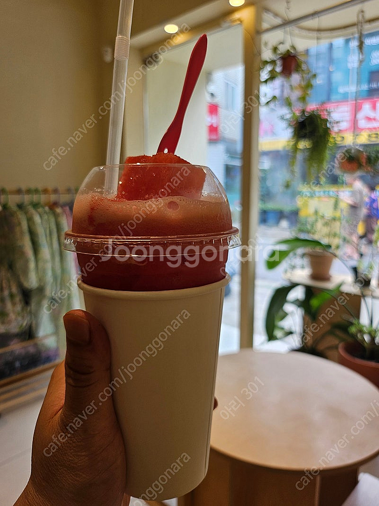 진도쏠비치 패밀리 스탠다드 침대/취사 7월31일-8월3...--0
