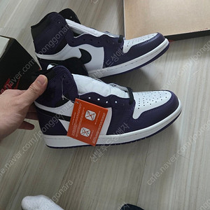 조던 1 하이 OG 코트퍼플 260