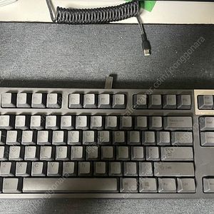 리얼포스 R2TL 55g 균등 C타입 개조