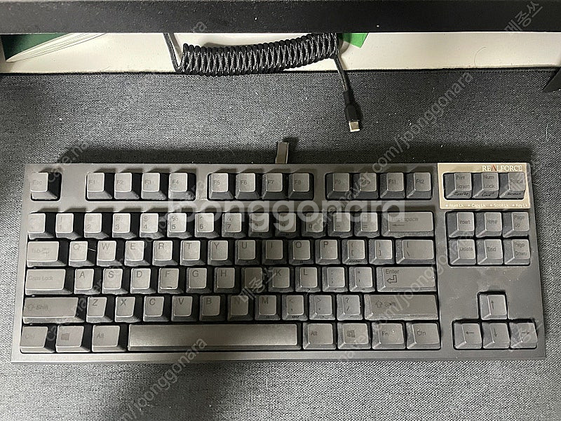 리얼포스 R2TL 55g 균등 C타입 개조--1