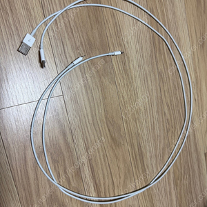 애플 충전 케이블 두 종류