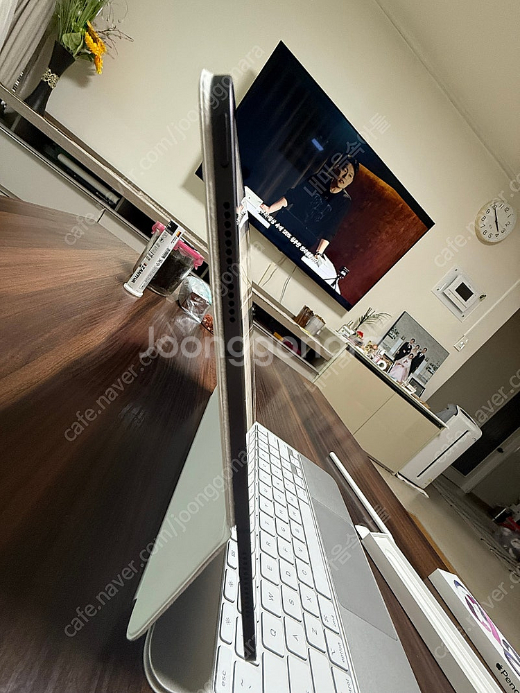 아이패드 프로 m4 13 2tb 셀룰러 스블 나노텍스처...--0