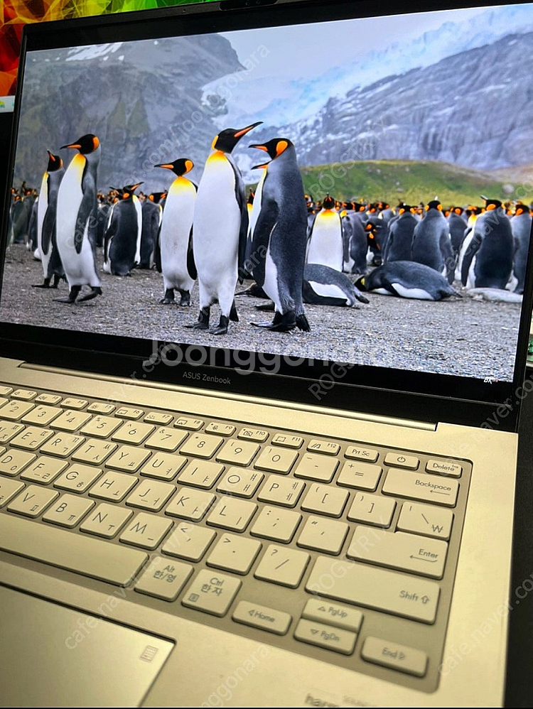 ASUS 젠북 14X OLED 인텔i9 14인치 고성능...--5