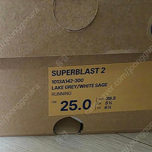 아식스 슈퍼블라스트2 레이크 그레이 250