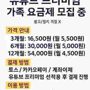 유튜브 프리미엄 가족 요금제(3개월/6개월/12개월) 월4,000원대
