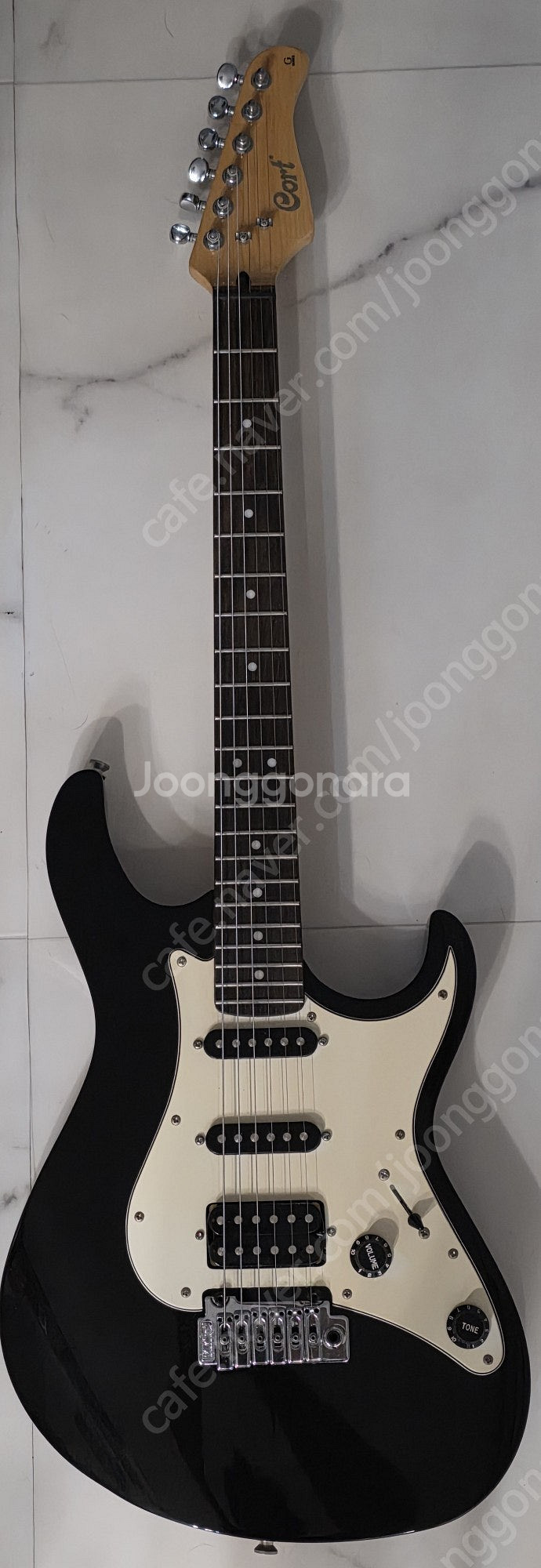 콜트 일렉기타 G250SPL--0