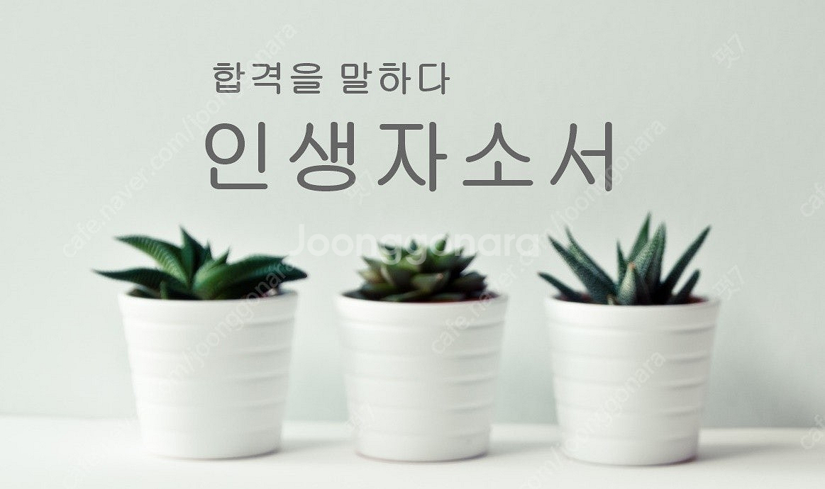 취업 자소서 첨삭 대필 자기소개서 대행 종합 정보!--1